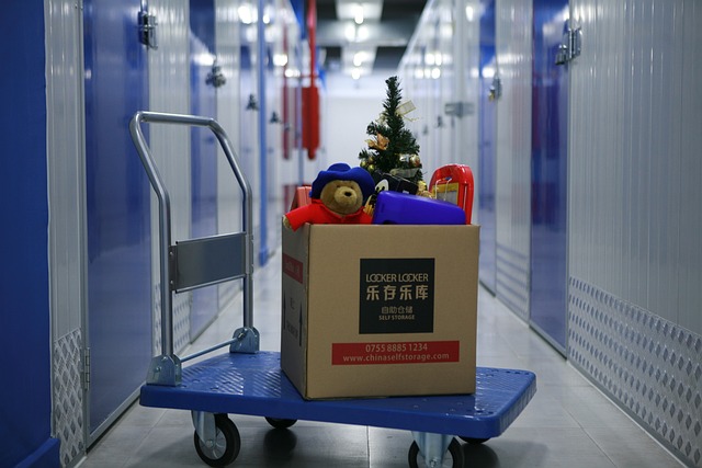 MIni selft storage unit and luggage cart