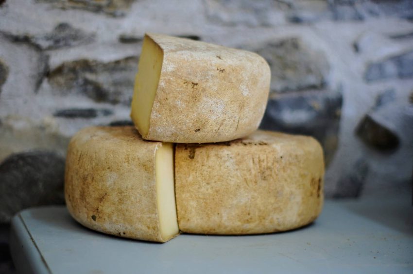 Cut wheels of smoked cheese